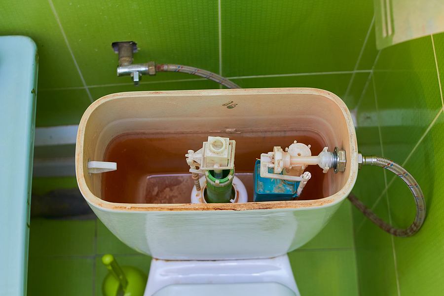 How to Check if Your Toilet Tank is Leaking